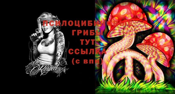 стаф Лагань