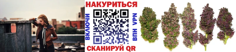 Бошки марихуана LSD WEED  что такое наркотик  Яранск 